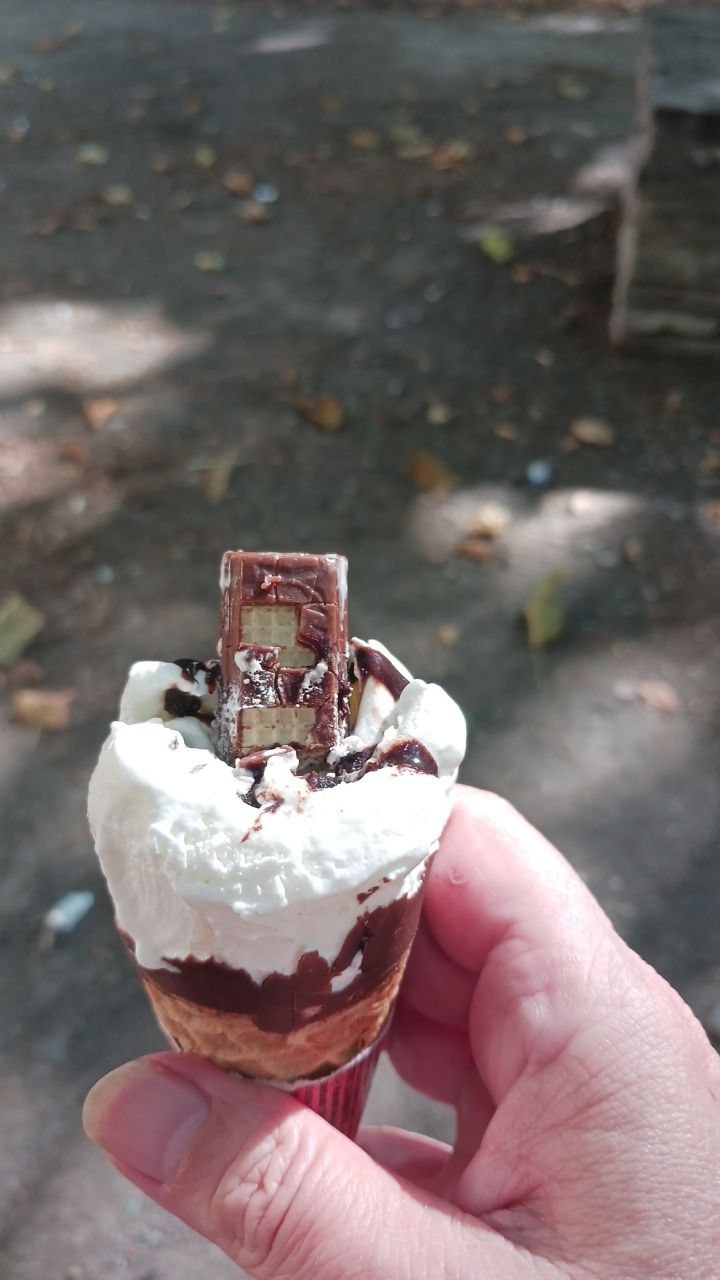 Ein angebissenes Schokoladen-Vanille-Eis in einer Hand, dahinter Gras im Park